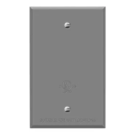 1-Gang Weatherproof Metallic Blank Wall Plate Gray