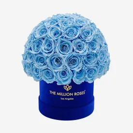 Classic Royal Blue Suede Superdome Box | Light Blue Roses