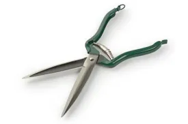 Dressing Shear