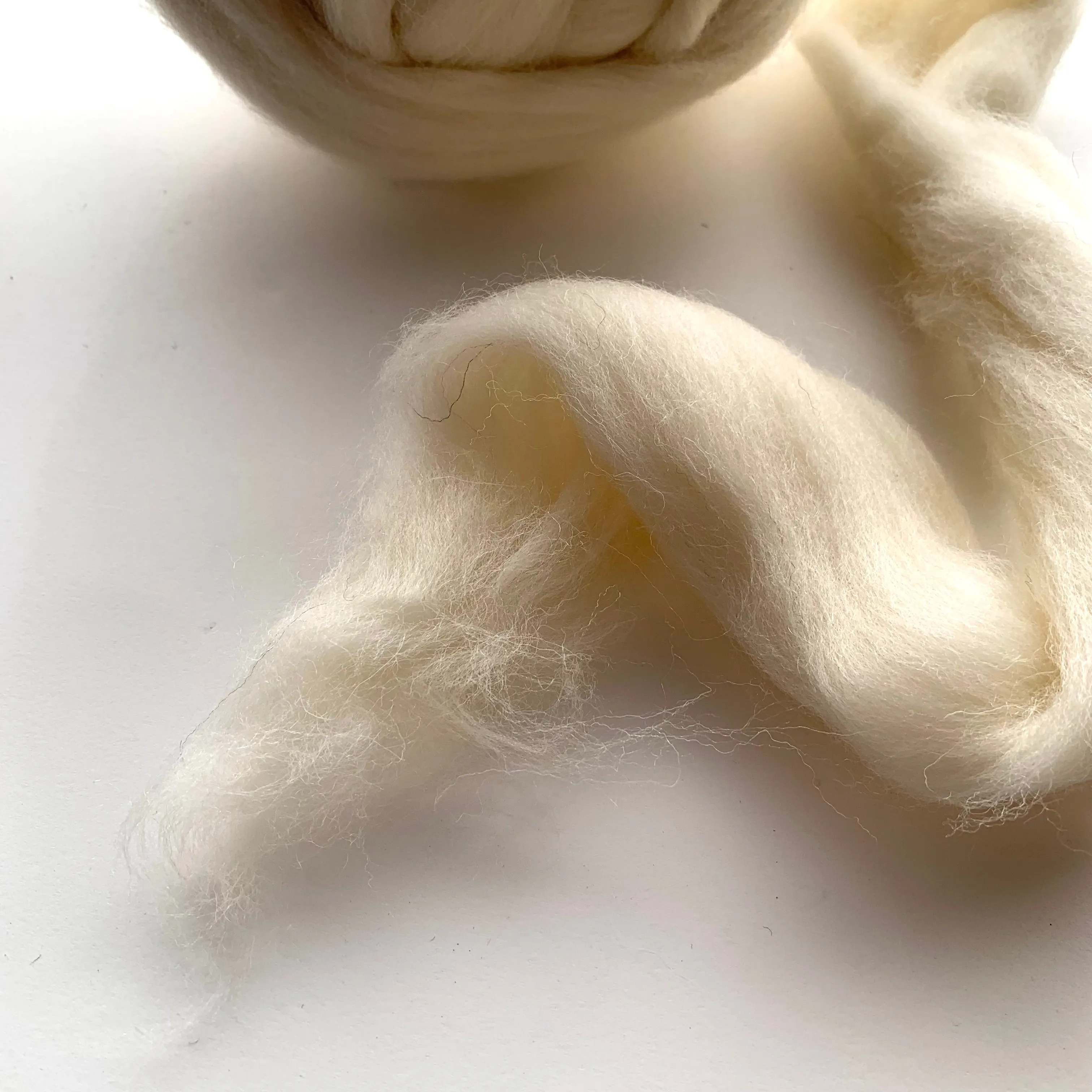 Natural, Undyed Fibers