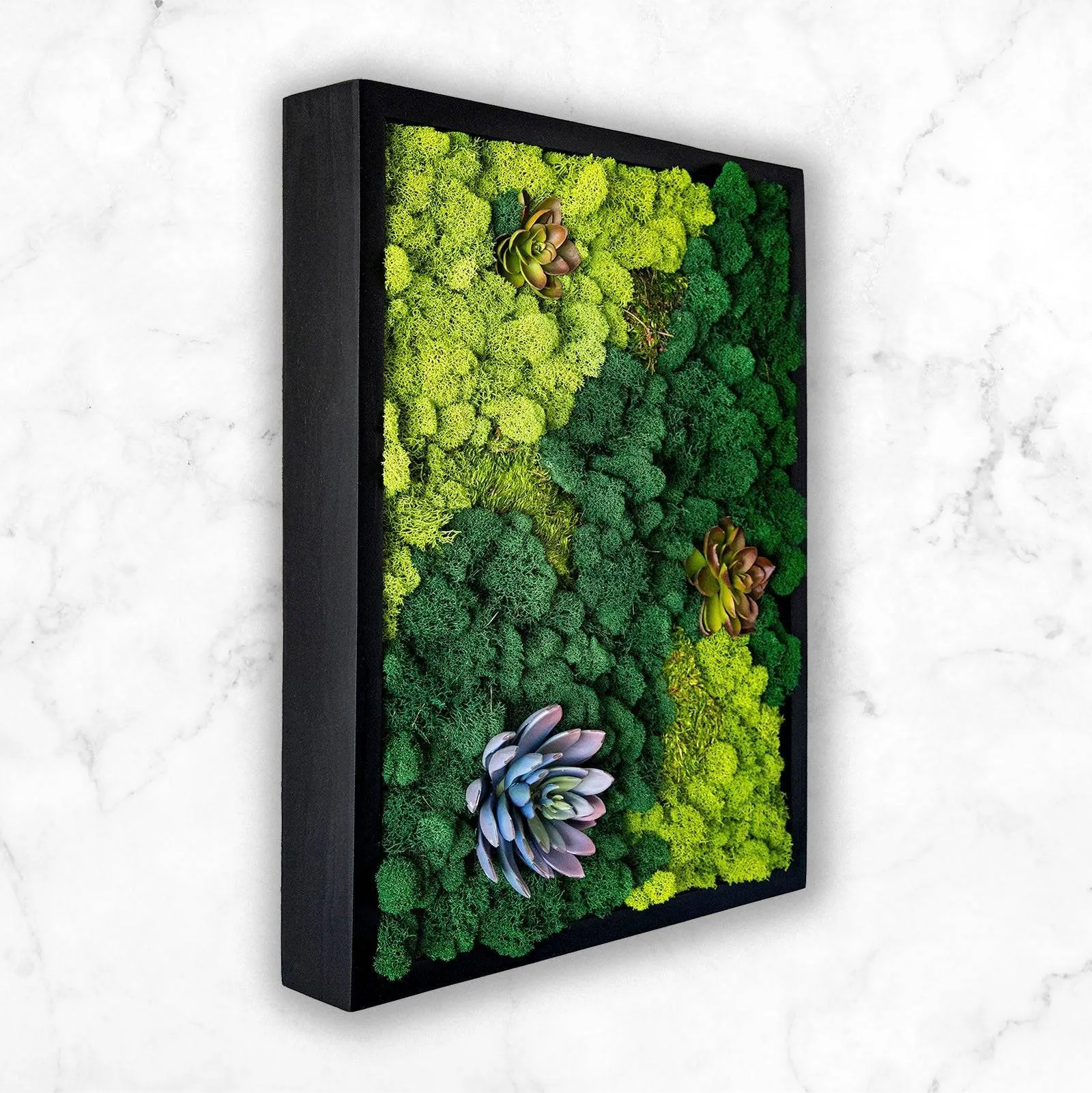 Preserved Mood and Pillow Moss Wall Art