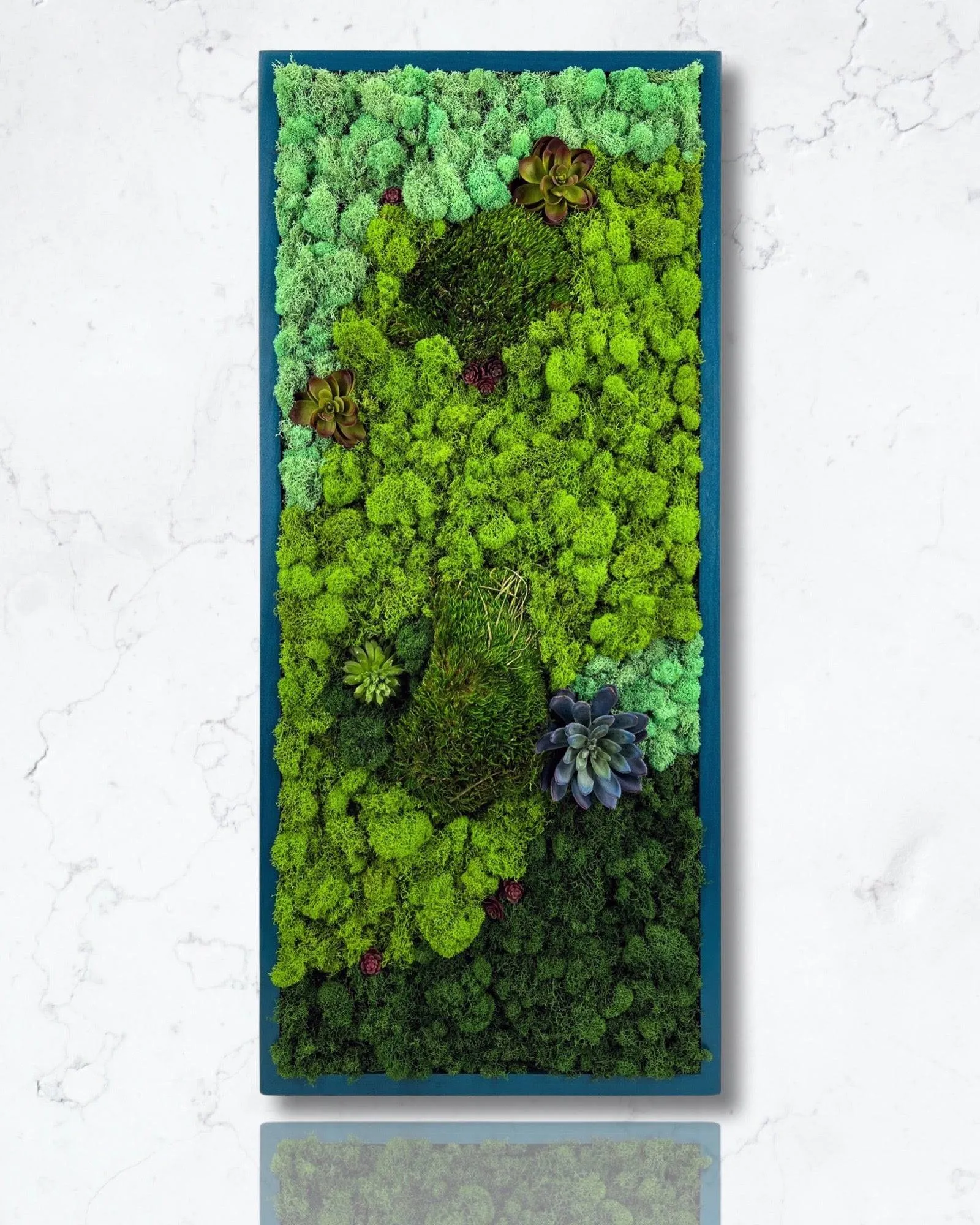 Preserved Mood and Pillow Moss Wall Art