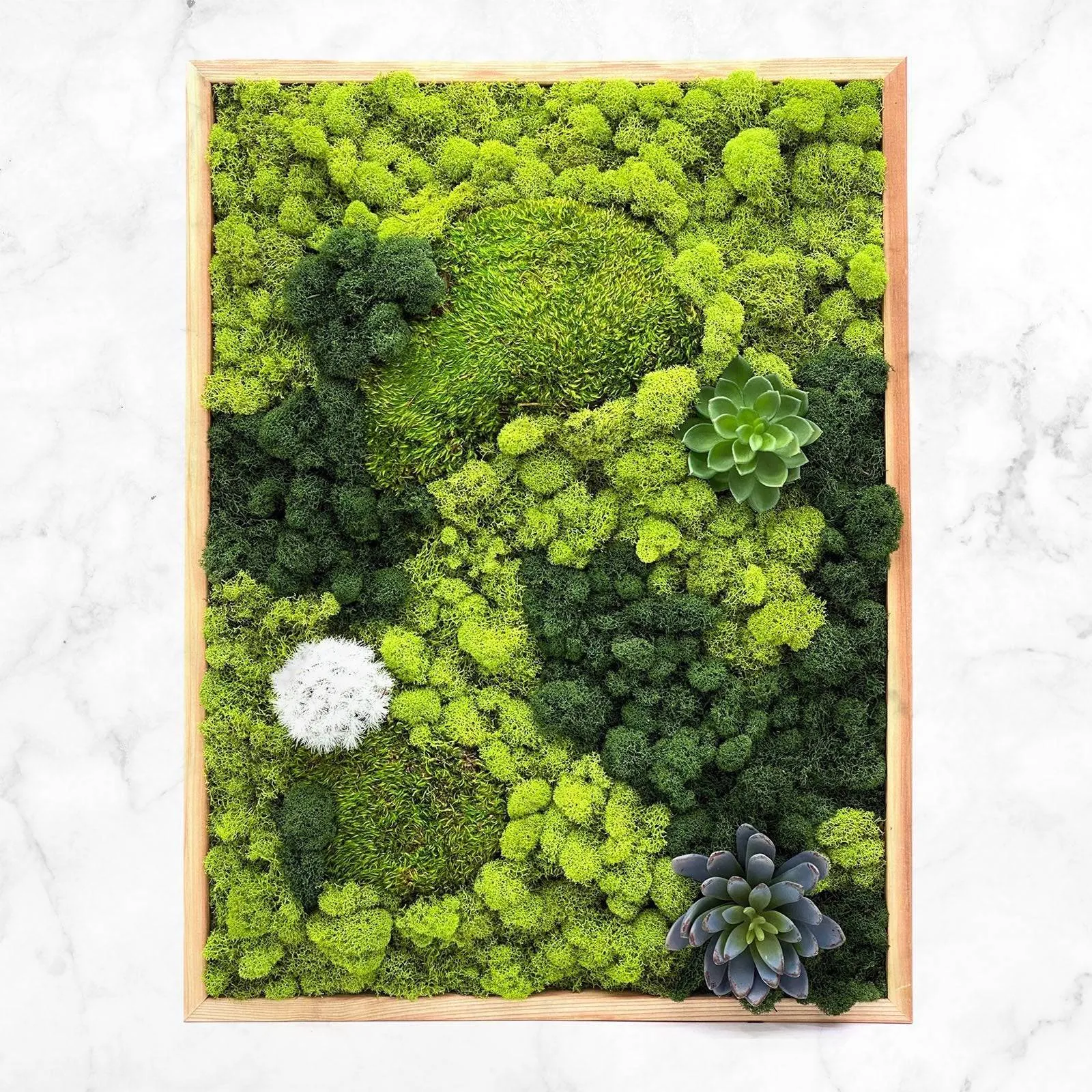 Preserved Mood and Pillow Moss Wall Art