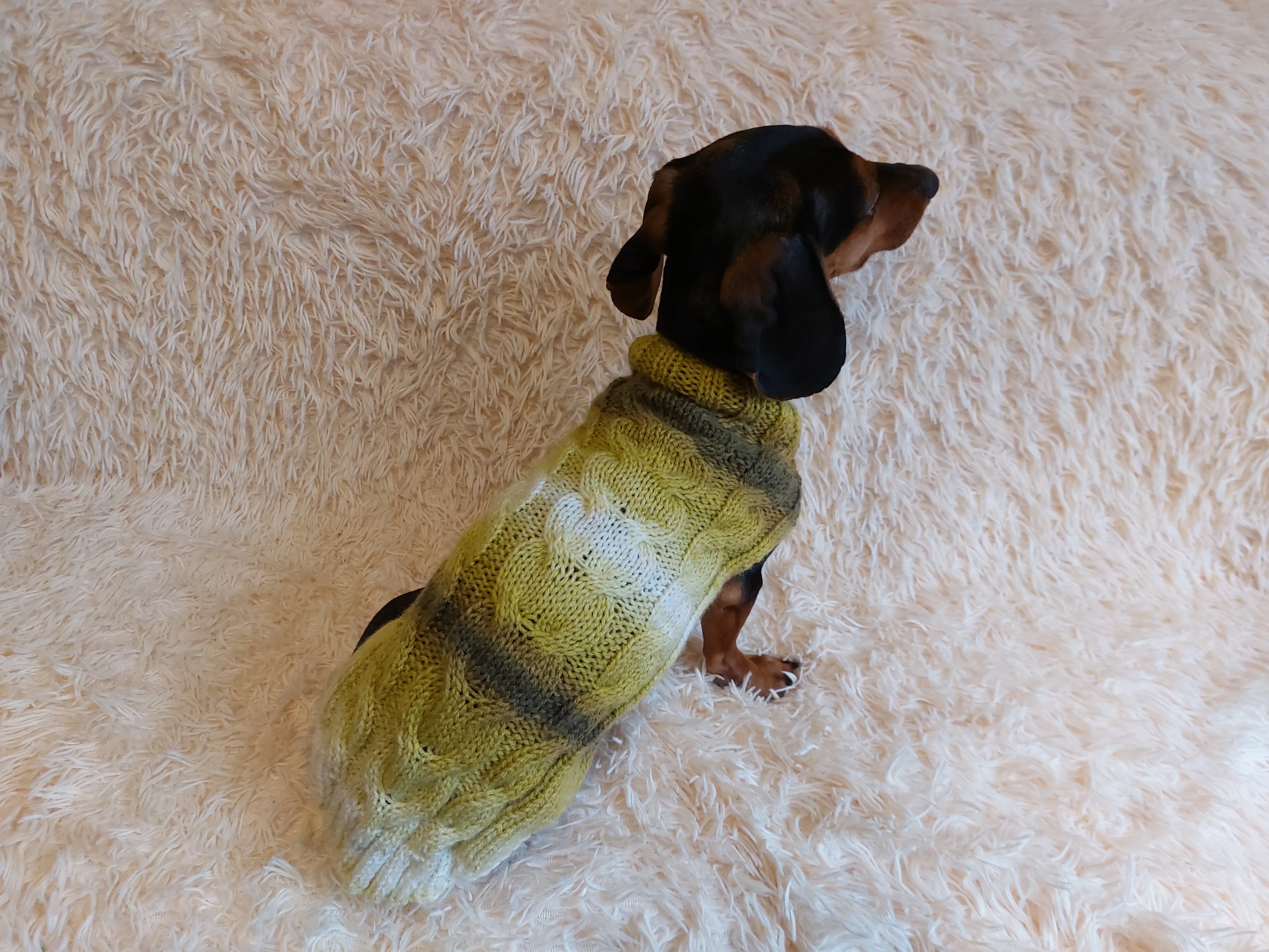 Warm knitted jumper for small dogs,dachshund clothes knitted sweater, knitted wool sweater for dachshund or small dog