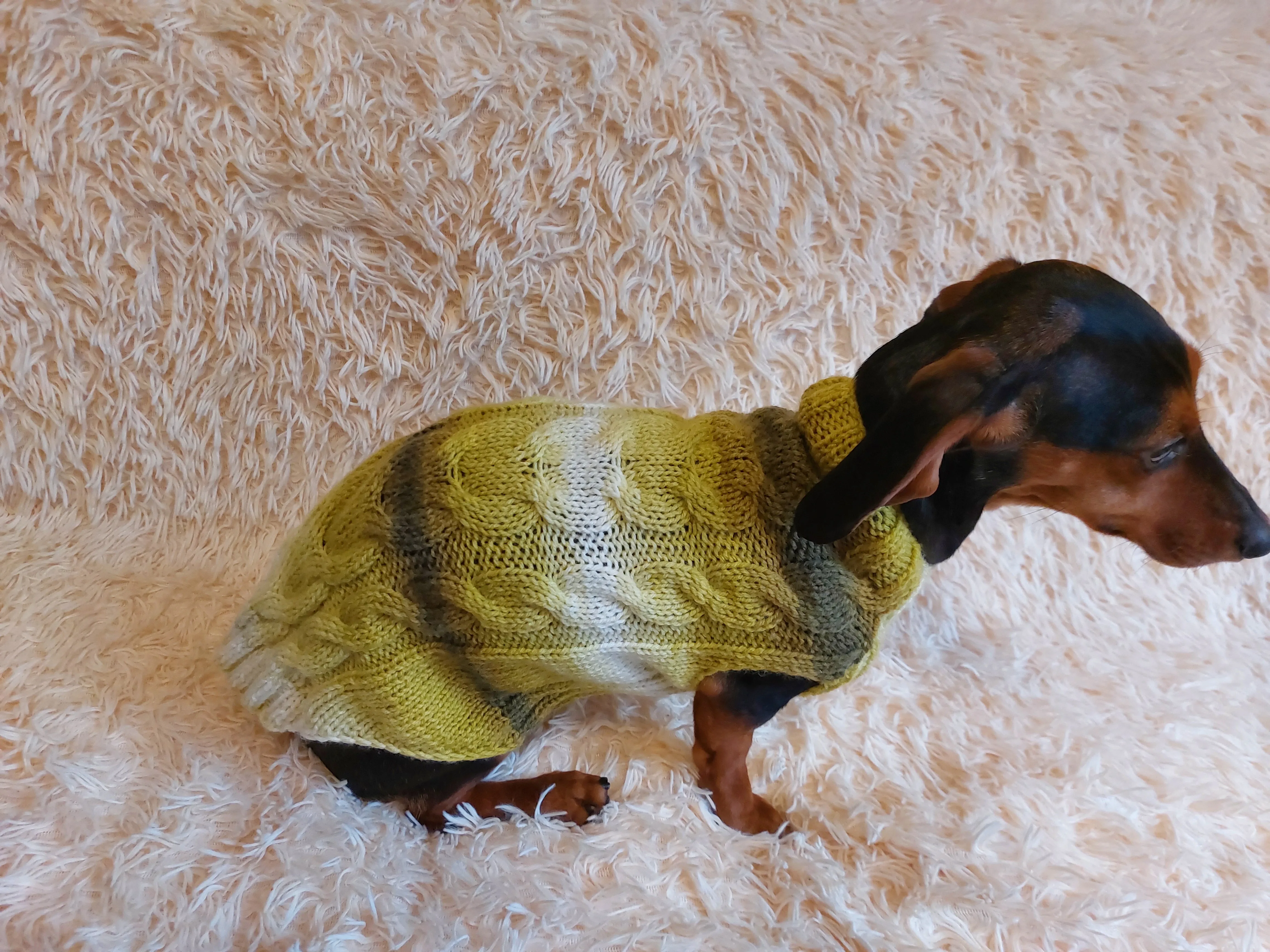 Warm knitted jumper for small dogs,dachshund clothes knitted sweater, knitted wool sweater for dachshund or small dog