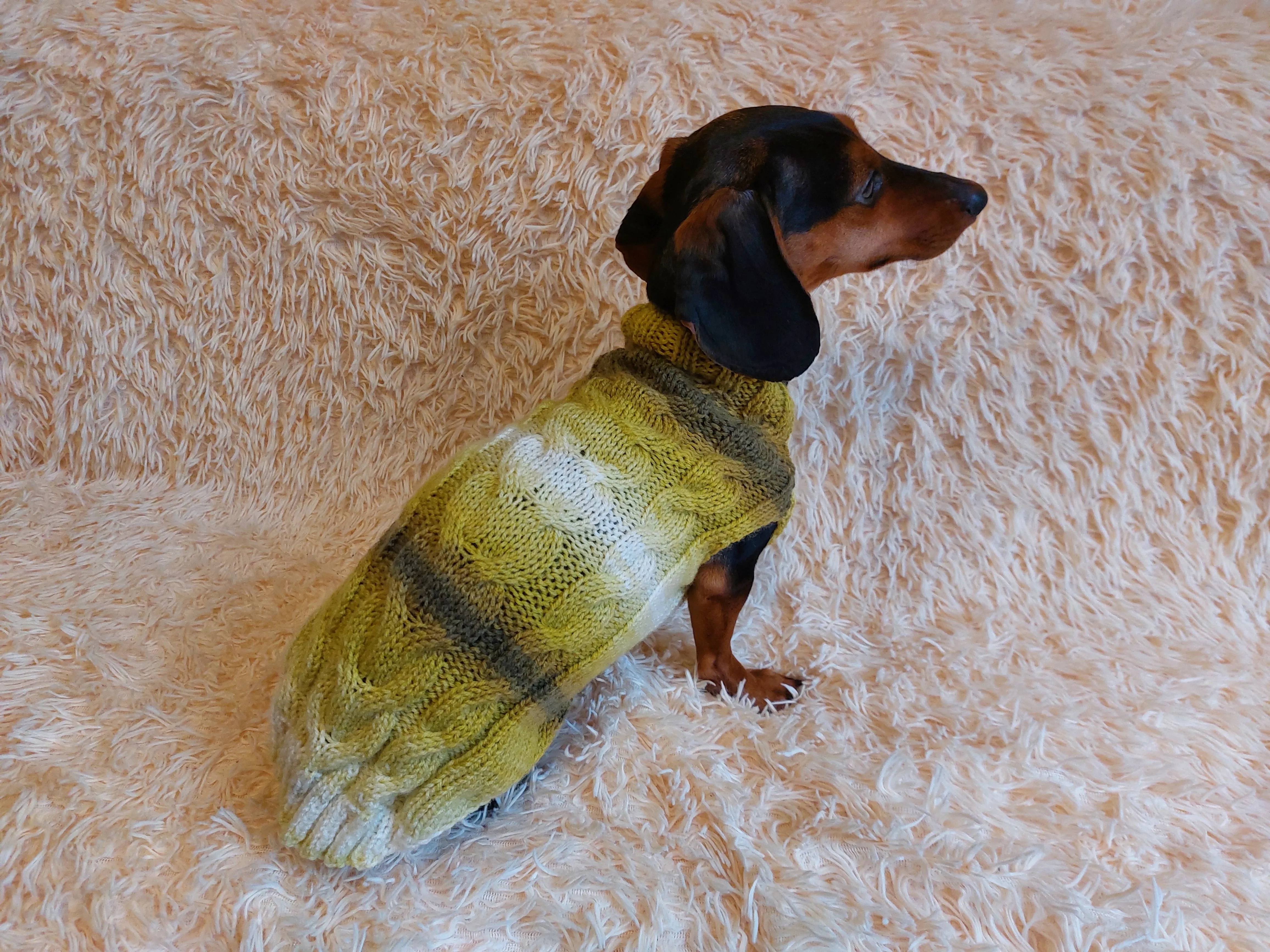 Warm knitted jumper for small dogs,dachshund clothes knitted sweater, knitted wool sweater for dachshund or small dog