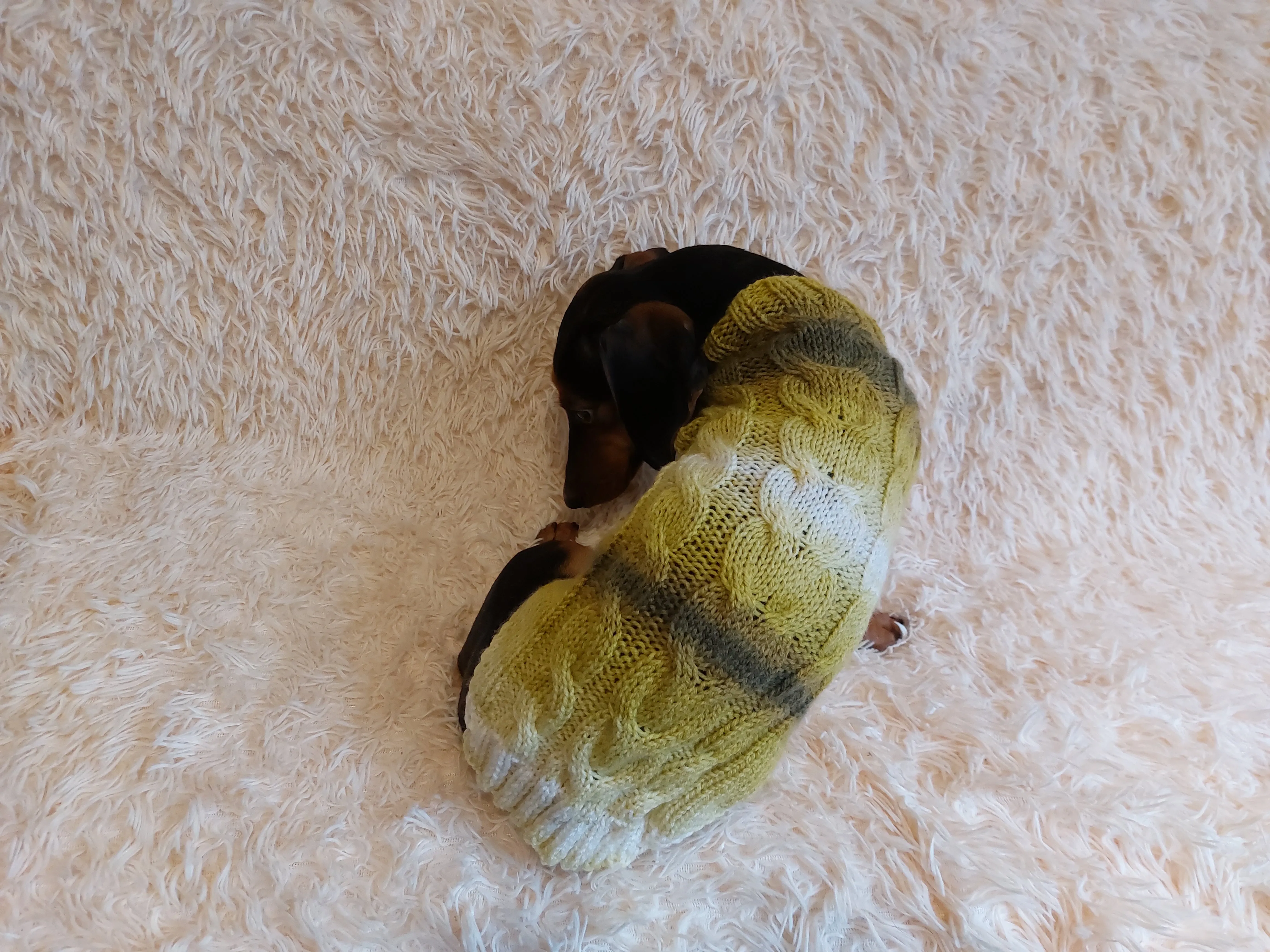 Warm knitted jumper for small dogs,dachshund clothes knitted sweater, knitted wool sweater for dachshund or small dog