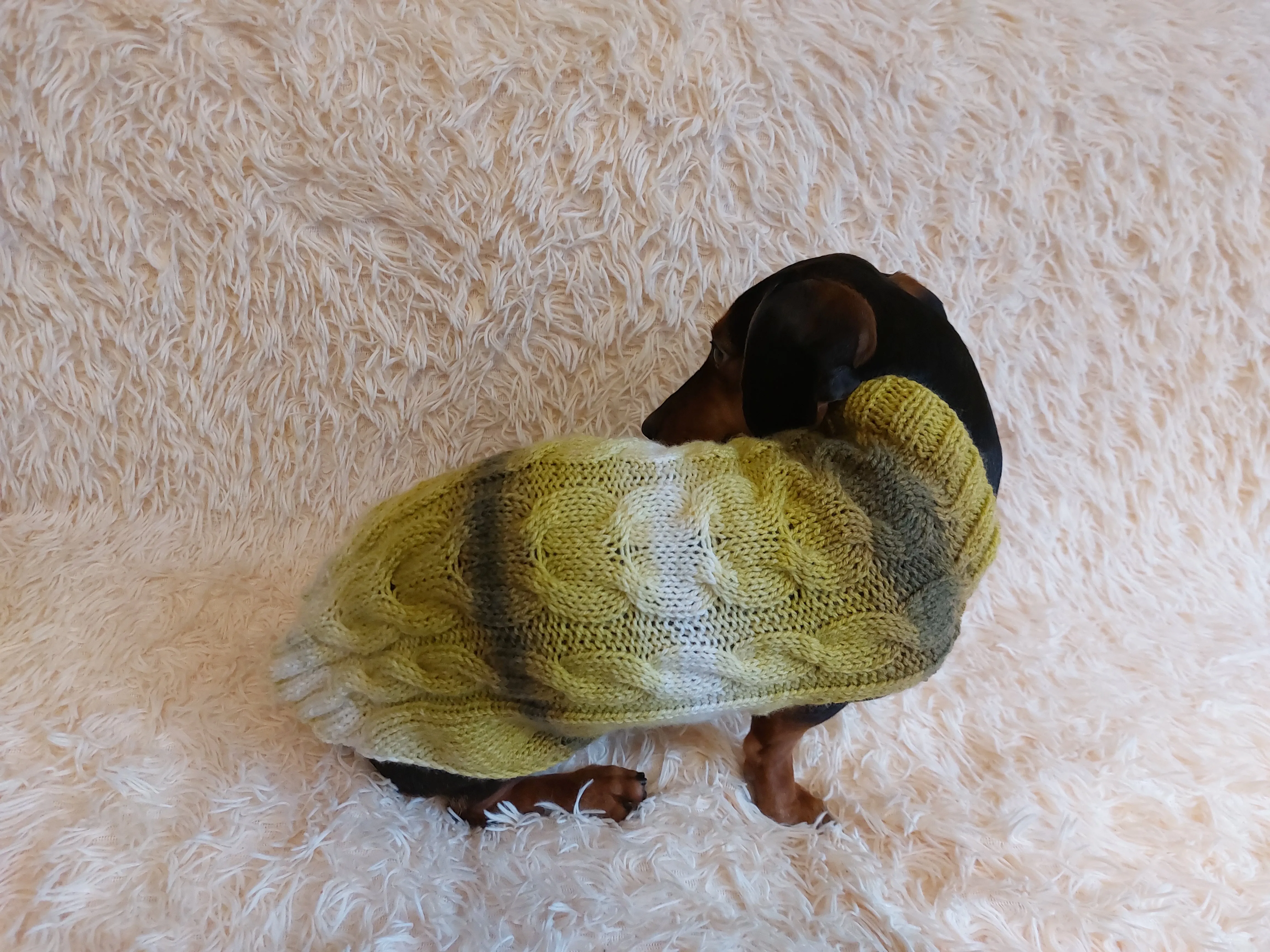 Warm knitted jumper for small dogs,dachshund clothes knitted sweater, knitted wool sweater for dachshund or small dog