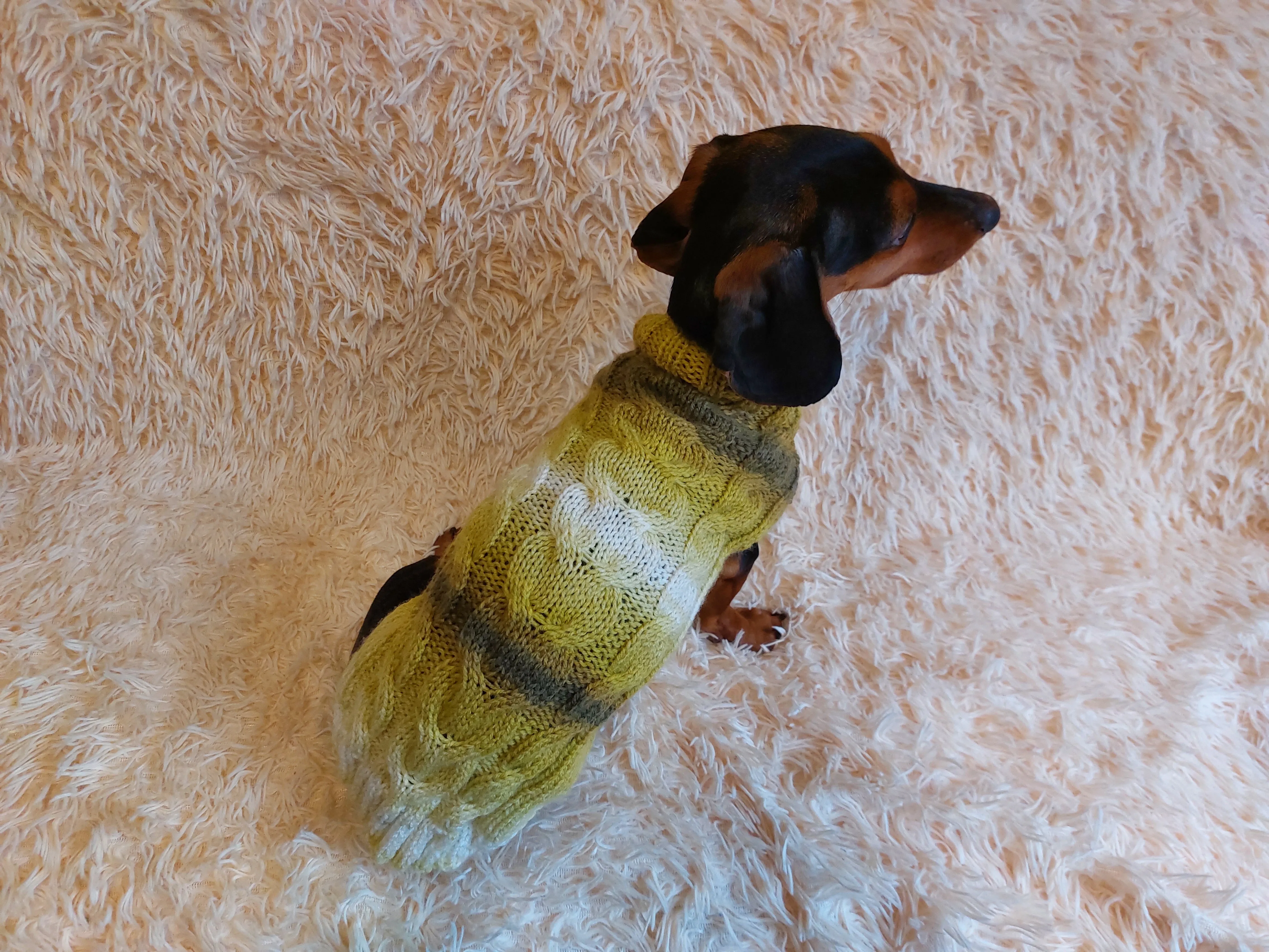 Warm knitted jumper for small dogs,dachshund clothes knitted sweater, knitted wool sweater for dachshund or small dog