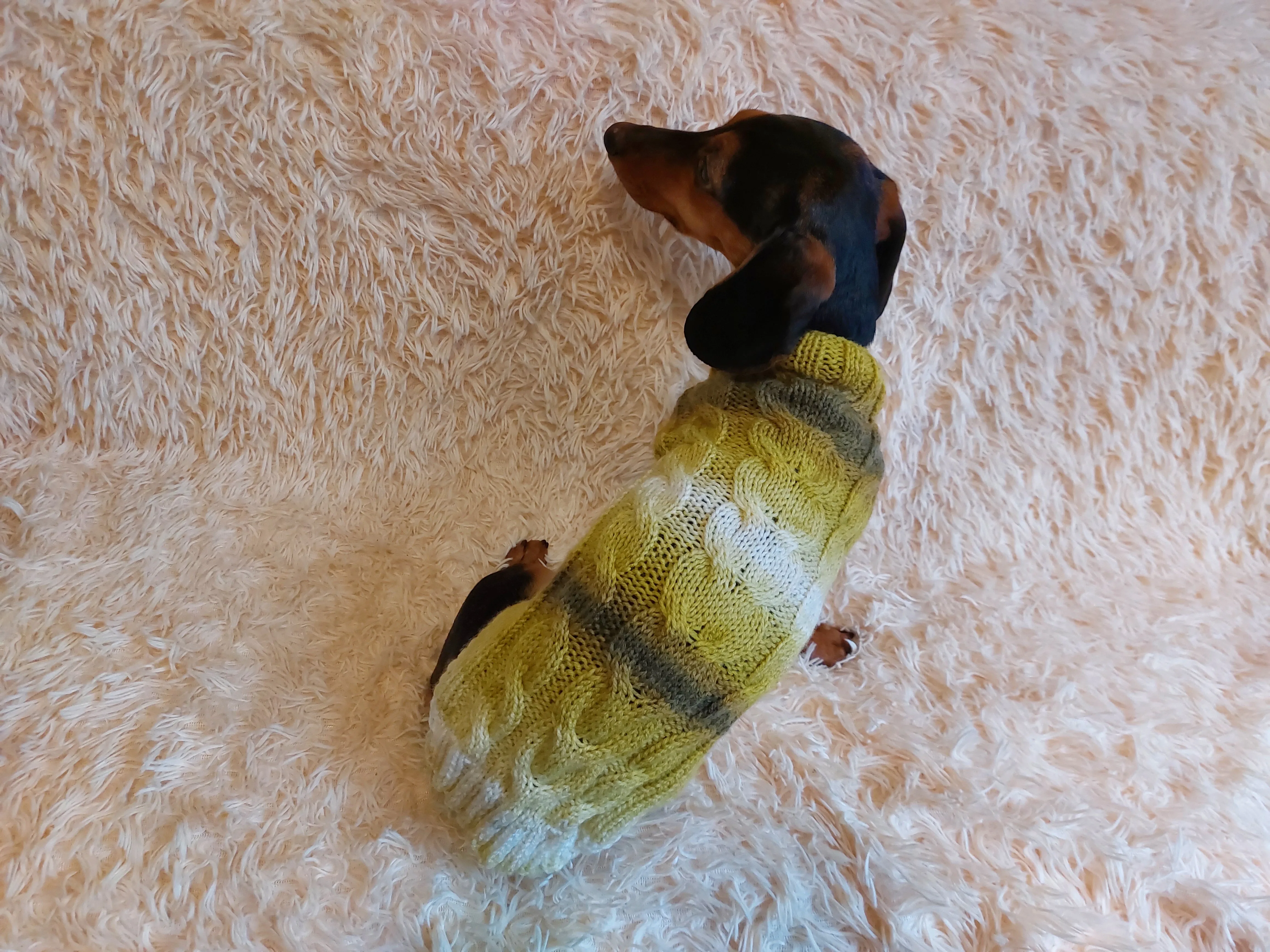 Warm knitted jumper for small dogs,dachshund clothes knitted sweater, knitted wool sweater for dachshund or small dog